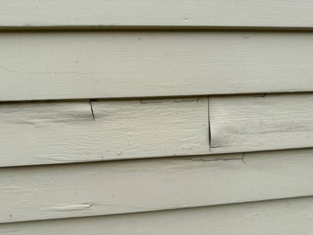 Best Storm Damage Siding Repair  in Stephenville, TX